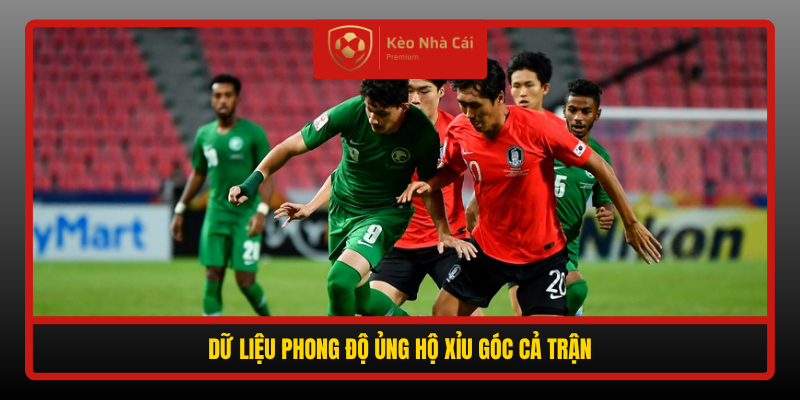 Du Lieu Phong Do Ung Ho Xiu Goc Ca Tran